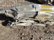 440884646_1358205928190348_7736921788319429389_n