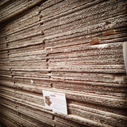 carton-mohammad (195)