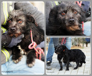 Be-Funky-collage-21.jpg&key=d24e6ad8585c