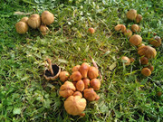 IMG_20190130_130944_581