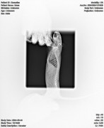 photo_2024-12-16_14-10-50