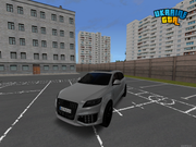 IMG-3718