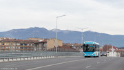 IMG-3166