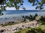 IMG-20210704-134924.jpg