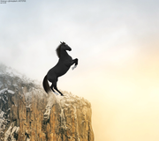 Untitled101_20231220212432