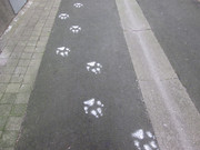 IMG-7970.jpg