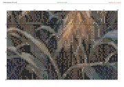 2883549-crosti-ru-color-37
