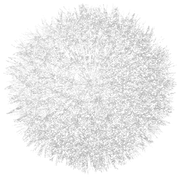 WINTER-LOVE-DBJ-ELEM-95