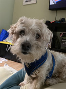 65152454470__1BE09590-5BCE-4D9D-BDD0-08C5BBCCFC28