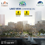 Lake View Commercial