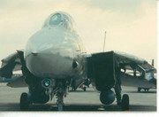 [Image: IMG-0392.jpg]