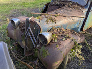 PXL-20241011-144735992.jpg