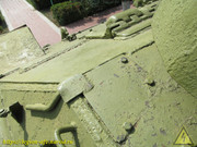 IMG-3145