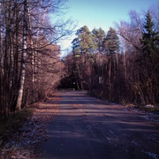 IMG_20141024_160351_resize