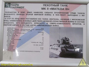 IMG-6875