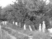 ADP Free party Balscha 2009 065