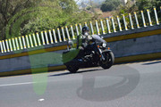 DSC-0315