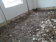 IMG-20240816-221846-352