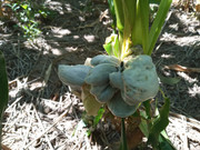 WhatsApp Image 2022-04-06 at 11.53.03 AM (1)