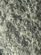 F33DE446-205A-4407-B2A8-AA86AD28062F