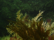 02004_15-02-3TH-00223