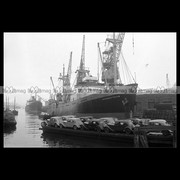 s-l16002.jpg