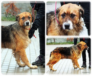 Be-Funky-collage-20.jpg&key=40cdd9148256