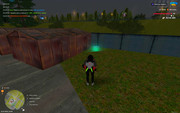 IMG-8290