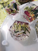 IMG_20240801_154055_1