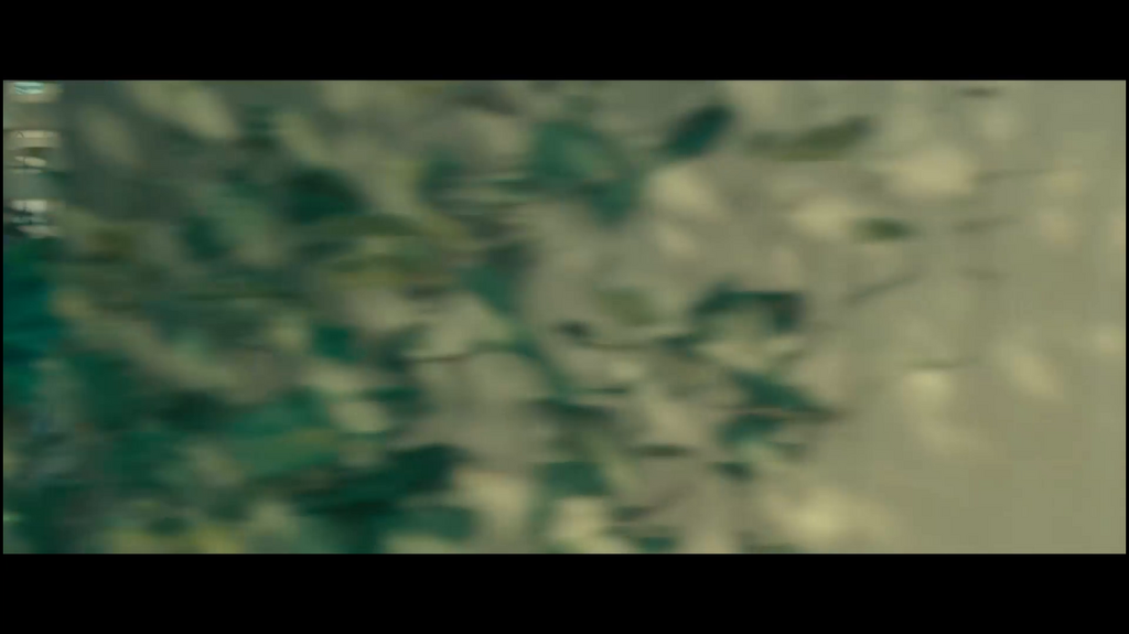 anriq024jpj3.png