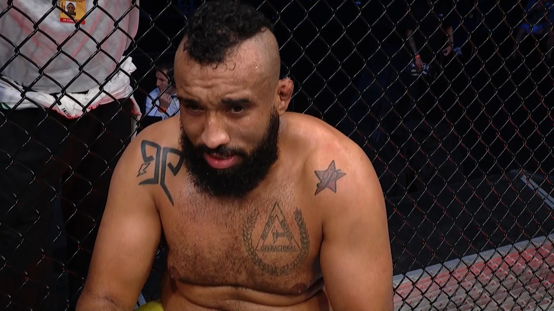 UFC on ESPN 14 Full Event 1080p HDTV x264-WH