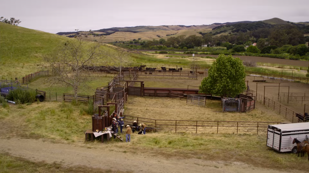 [Image: hc39s9sef3vo.png]