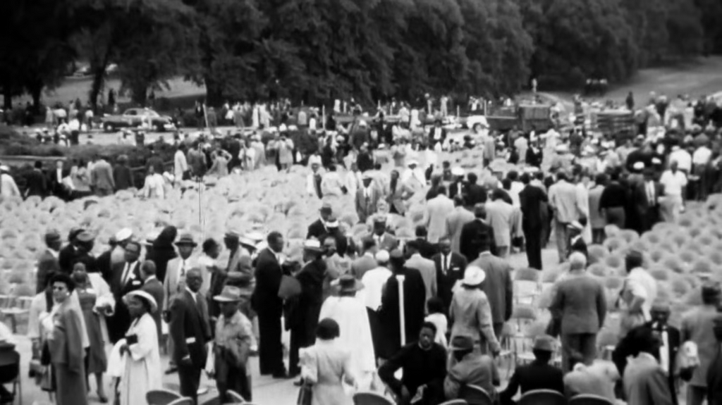 [Image: im8hoz78w1uu.png]