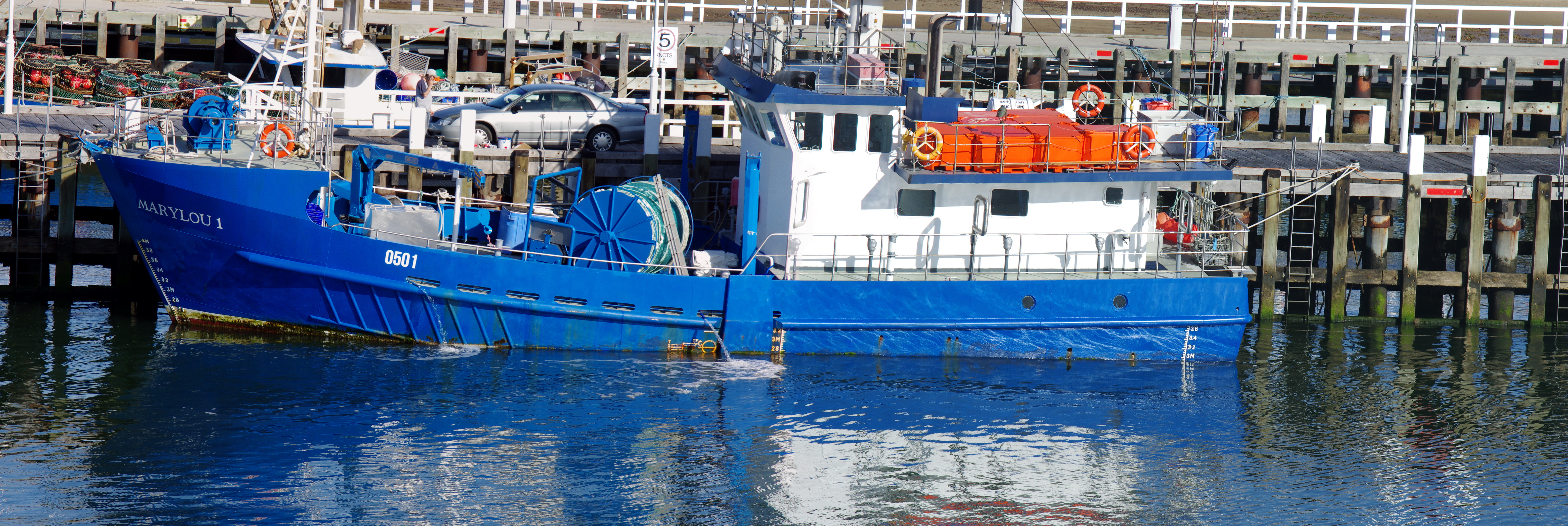 Marylou-I-San-Remo-31x10-stitch.jpg