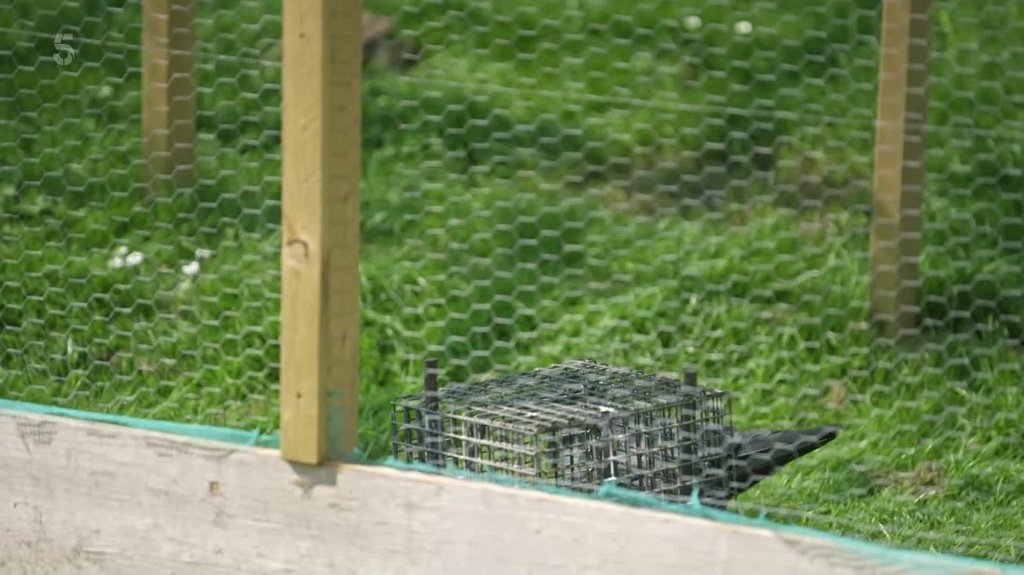 [Image: 9rt7kaq0ec8b.jpg]