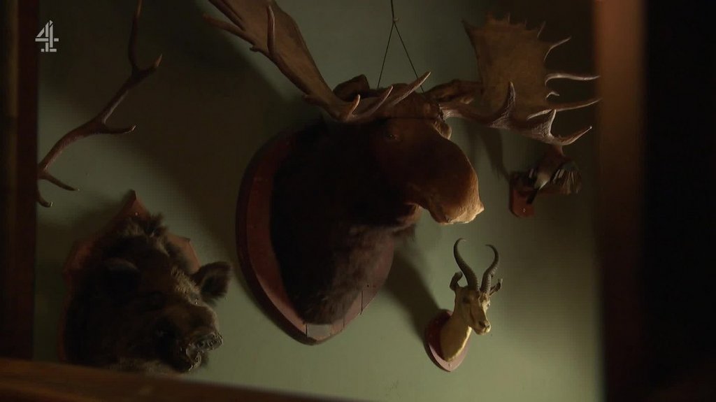 [Image: ebz70faa81pi.jpg]