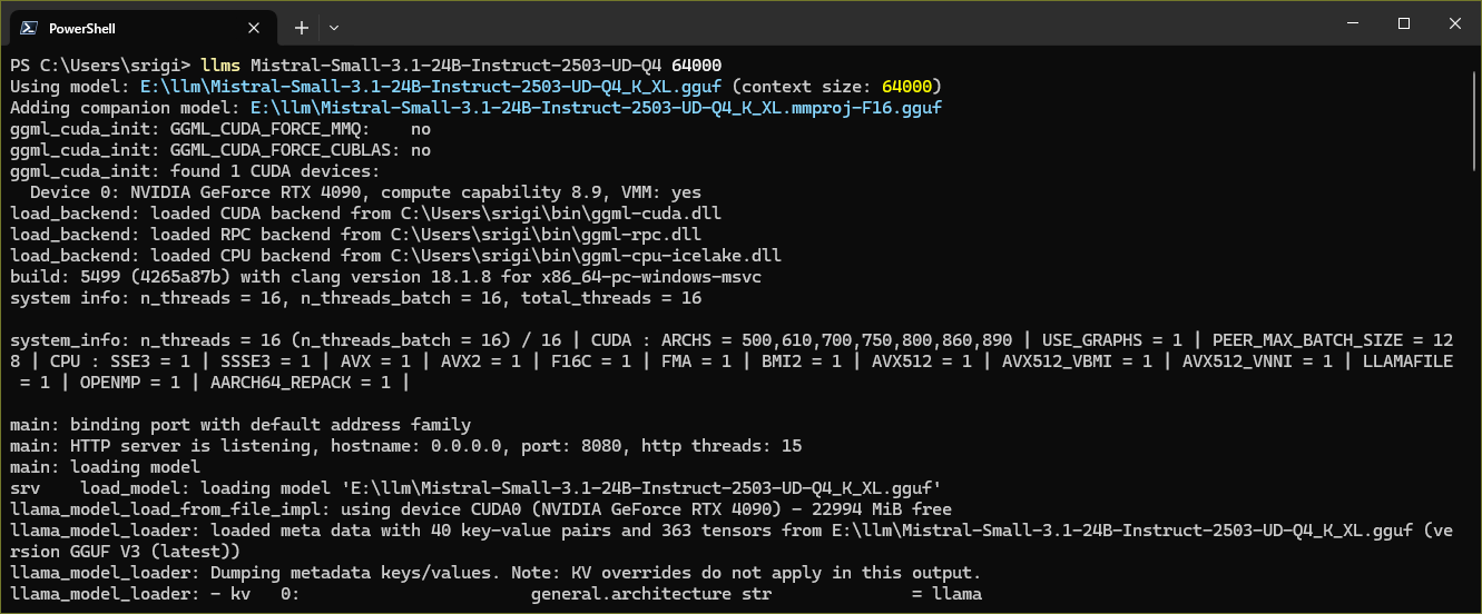 Terminal showcasing llms <partial_model_name> command