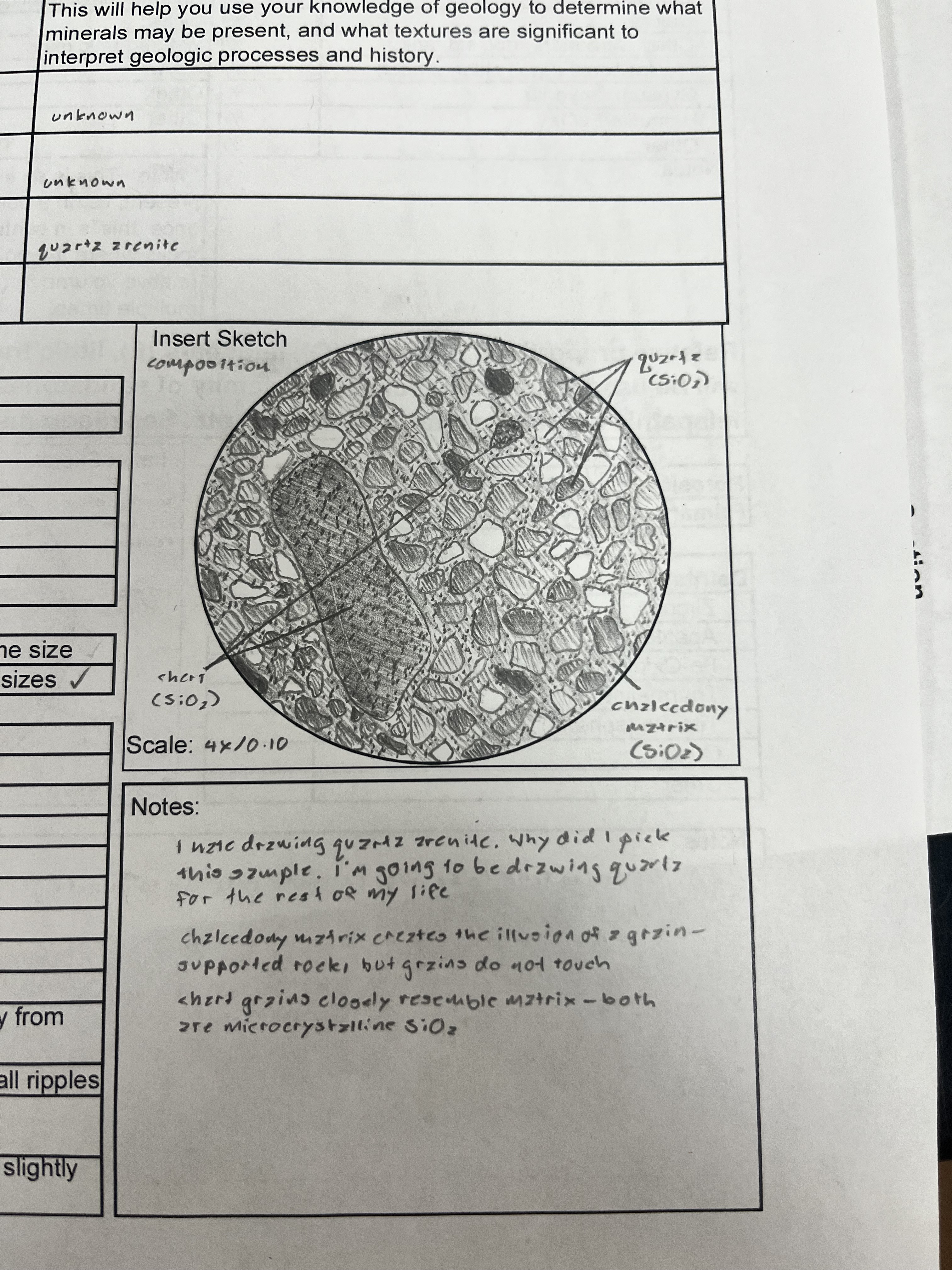 a pencil drawing of a slide of quartz arenite. it has one large chert grain and many many many small quartz grains. beneath it is a section for notes with three notes listed: "I hate drawing quartz arenite. why did I pick this sample. I'm going to be drawing quartz for the rest of my life", "chalcedony matrix creates the illusion of a grain-supported rock, but grains do not touch", and "chert grains closely resemble matrix -- both are microcrystalline SiO2"