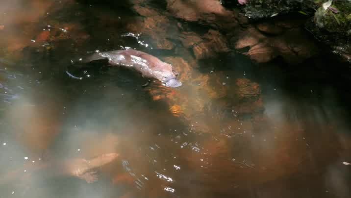 [Image: 0my5ubh5qxp6.jpg]