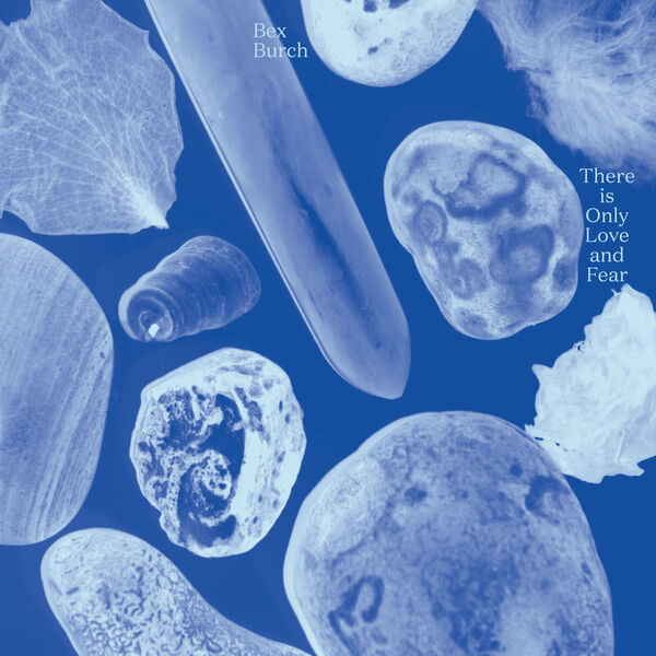 [Image: sdv7oa9k5e7l.jpg]