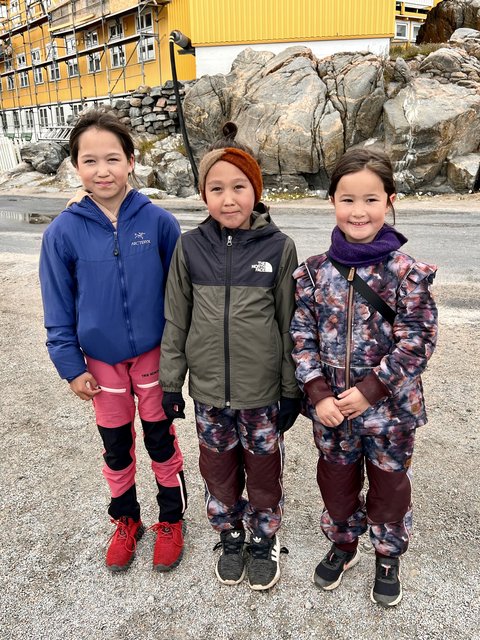 [Linked Image from i.postimg.cc]