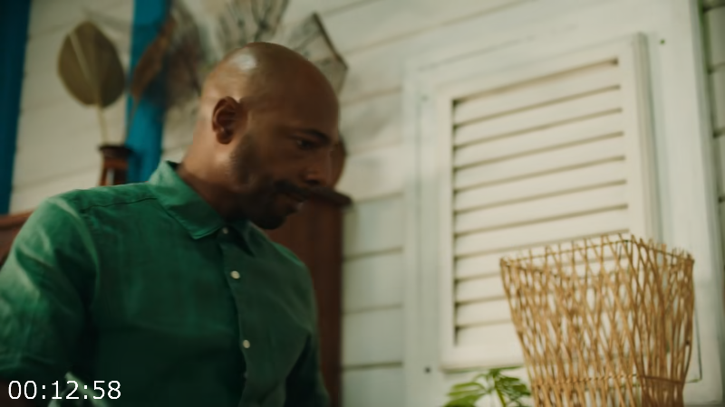 [Image: iclhv6047lsi.png]