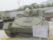 IMG-2413