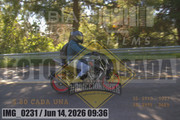 IMG-0231