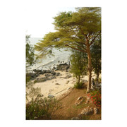 photo 1 2026 01 16 22 16 38