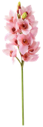 Yk-Easter-is-Coming-47