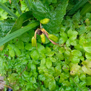 IMG-20250823-100110-419.jpg