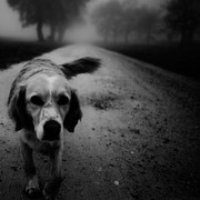 0268ef595e72d6f26e73bff