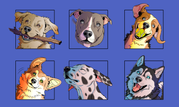 [Image: Portraits-chiens.png]