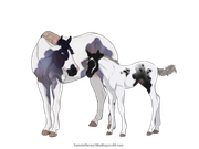 C6F84A1C-AEAB-47F6-941F-D912D1E26728